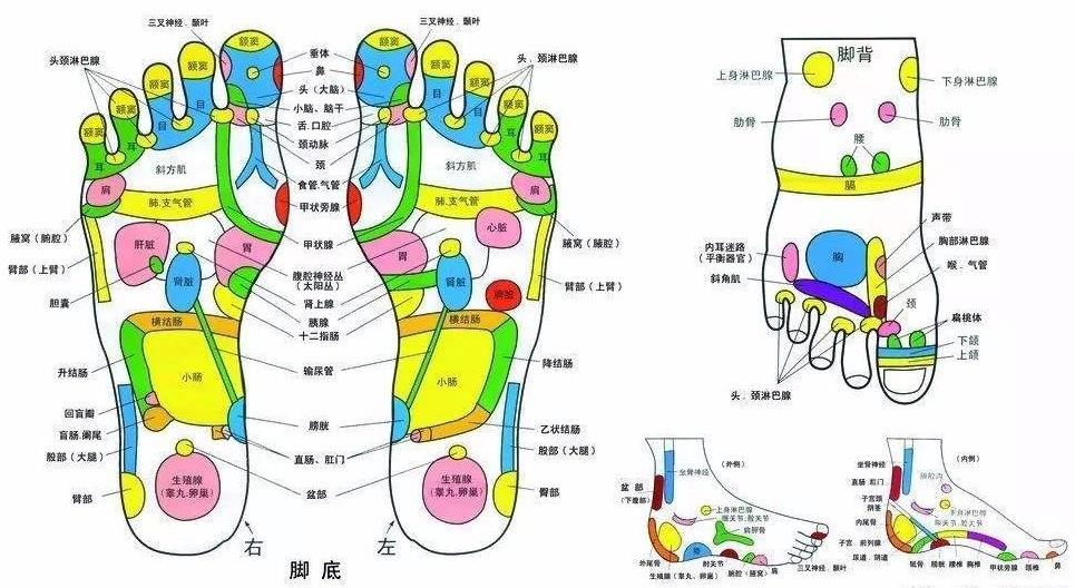 [重庆足疗培训]足底按摩不慎会伤胃！