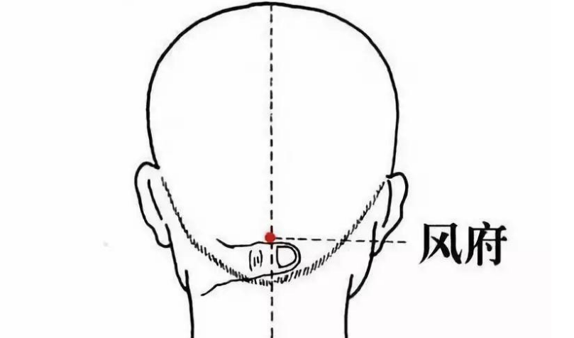 惊蛰养生有门道，护肝健脾很重要