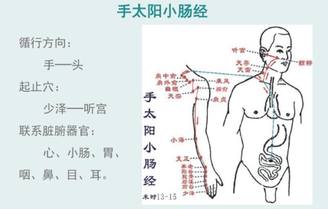 推拿培训学校分享经络养生小妙招